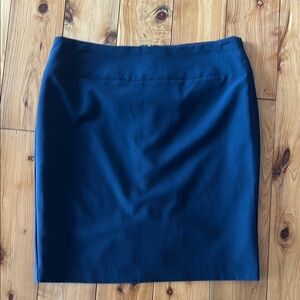 Elegant Blue Women's Skirt